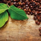 Miniatura fototapety Liście i ziarna kawy na drewnie