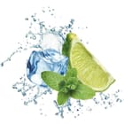 Miniatura fototapety Limonka i mięta w rozprysku wody