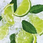 Miniatura fototapety Świeżość limonki z miętą