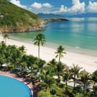 Miniatura fototapety Plaża z palmami i oceanem