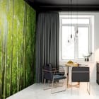 Miniatura fototapety Spokojny las bambusowy we wnętrzu kuchni