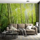 Miniatura fototapety Spokojny las bambusowy we wnętrzu salonu