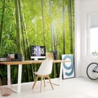 Miniatura fototapety Spokojny las bambusowy we wnętrzu biura