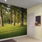 Miniatura fototapety Las o świcie wśród drzew we wnętrzu przedpokoju