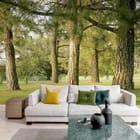 Miniatura fototapety Las o świcie wśród drzew we wnętrzu salonu