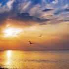 Miniatura fototapety Zachód słońca nad spokojnym morzem