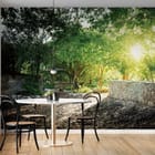 Miniatura fototapety Poranny las z kamiennymi murami we wnętrzu kuchni