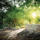 Miniatura fototapety Poranny las z kamiennymi murami