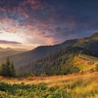 Miniatura fototapety Górski krajobraz z lasem iglastym