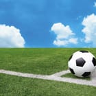 Miniatura fototapety Piłka nożna na zielonym boisku