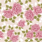 Miniatura fototapety Różowe róże i zielone liście