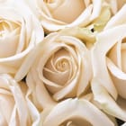 Miniatura fototapety Bukiet Białych Róż w Zbliżeniu