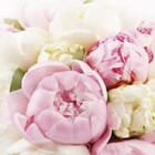 Miniatura fototapety Bukiet Różowych i Białych Kwiatów