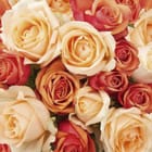 Miniatura fototapety Bukiet pomarańczowych róż