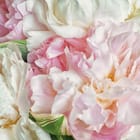 Miniatura fototapety Bukiet różowych i białych kwiatów