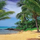 Miniatura fototapety Plaża z palmami i oceanem