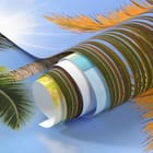 Miniatura fototapety Plaża z palmami i oceanem - realne zdjęcie w rolce