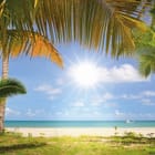Miniatura fototapety Plaża z palmami i oceanem
