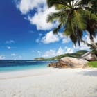Miniatura fototapety Plaża z palmami i oceanem