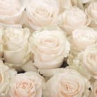 Miniatura fototapety Bukiet białych róż w zbliżeniu