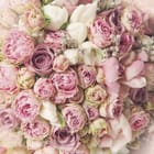 Miniatura fototapety Bukiet różowych i białych kwiatów