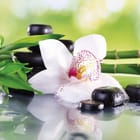 Miniatura fototapety Orchidea i kamienie w harmonii