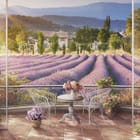 Miniatura fototapety Taras z Widokiem na Lawendę