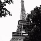 Miniatura fototapety Wieża Eiffla wśród paryskich drzew