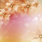 Miniatura fototapety Pastelowe Kwiaty 3D