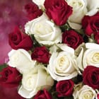 Miniatura fototapety Bukiet czerwonych i białych róż