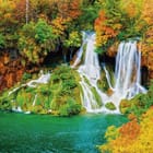 Miniatura fototapety Jesienne wodospady w zieleni