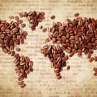Miniatura fototapety Mapa świata z ziaren kawy