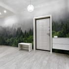 Miniatura fototapety Mglisty las iglasty we wnętrzu przedpokoju