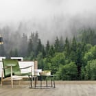 Miniatura fototapety Mglisty las iglasty we wnętrzu salonu