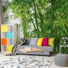 Miniatura fototapety Zielony las bambusowy we wnętrzu salonu