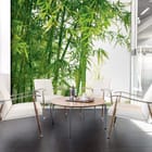 Miniatura fototapety Zielony las bambusowy we wnętrzu biura