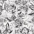 Miniatura fototapety Czarno-białe róże z liśćmi