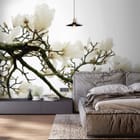 Miniatura fototapety Gałąź magnolii na jasnym tle we wnętrzu sypialni