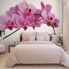 Miniatura fototapety Różowe storczyki na gałązce we wnętrzu sypialni