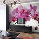 Miniatura fototapety Różowe storczyki na gałązce we wnętrzu salonu