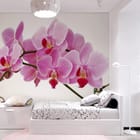 Miniatura fototapety Różowe storczyki na gałązce we wnętrzu pokoju nastolatka