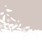 Miniatura fototapety Unoszące się białe pióra