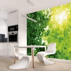 Miniatura fototapety Las o świcie z zielonymi liśćmi we wnętrzu kuchni