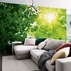 Miniatura fototapety Las o świcie z zielonymi liśćmi we wnętrzu salonu