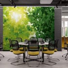 Miniatura fototapety Las o świcie z zielonymi liśćmi we wnętrzu biura