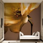 Miniatura fototapety Żółta róża z bliska we wnętrzu przedpokoju