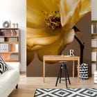 Miniatura fototapety Żółta róża z bliska we wnętrzu salonu