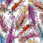 Miniatura fototapety Kolorowe pióra na białym tle