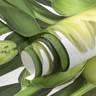 Miniatura fototapety Żółte tulipany na białym tle fragment #1