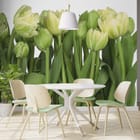 Miniatura fototapety Żółte tulipany na białym tle we wnętrzu kuchni